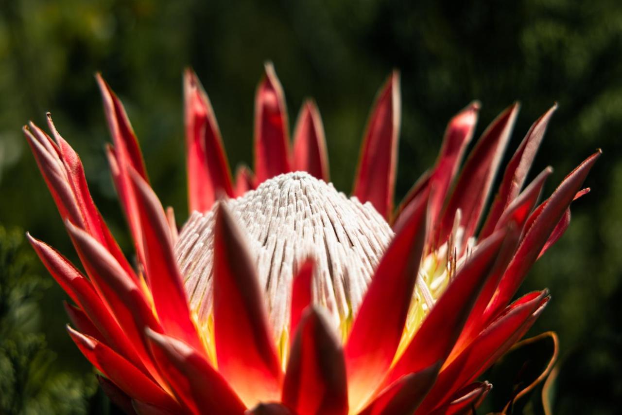 Highlandsview Villa Swellendam Luaran gambar